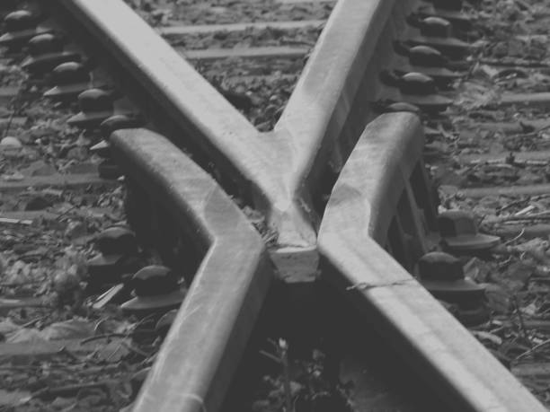 Crossing Frogs Point Rods 240+ Frogs Crossing Stock Photos, Pictures & Royalty-Free Images - iStock