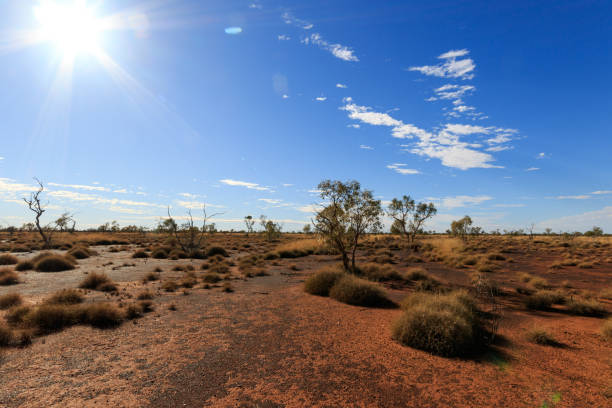 istock Arid desert environment and spinifex at Lark Quarry, Queensland, Australia 1329958257