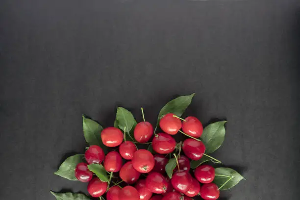 Small red wild apples on black background with copy space for text. Autumn concept. Fall flat lay.