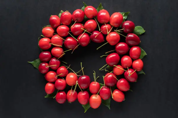 Small red wild apples on black background in circle shape. Autumn concept. Fall flat lay.