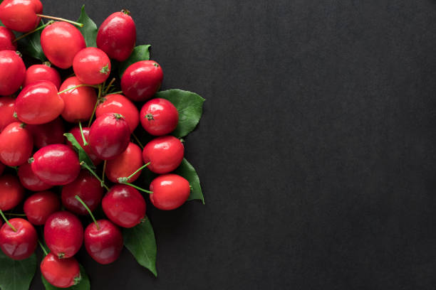 istock Little red wild apples on black background. 1329963732