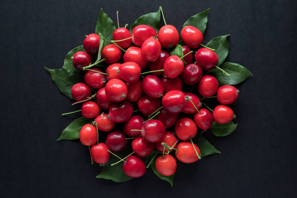 istock Little red wild apples on black background. 1329963749