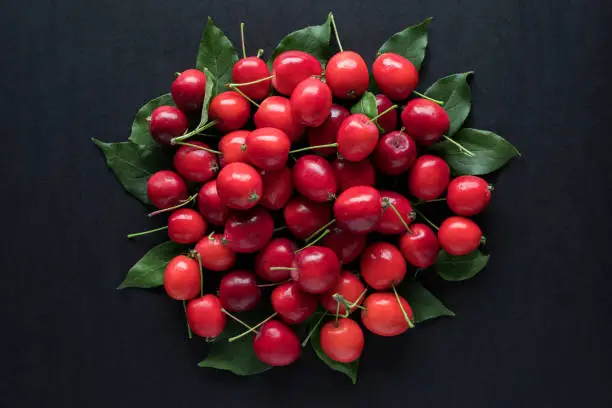 Small red wild apples on black background in circle shape. Autumn concept. Fall flat lay.
