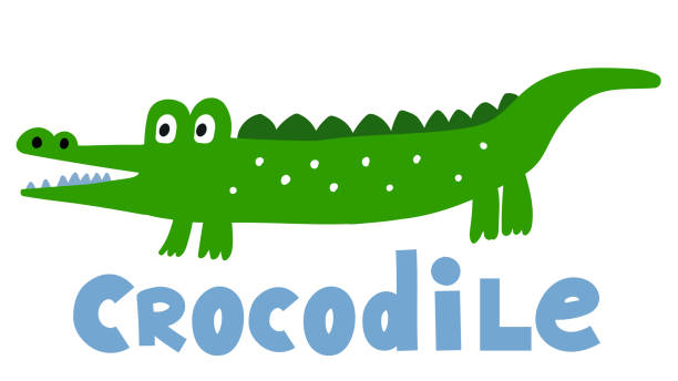 ilustrações, clipart, desenhos animados e ícones de crocodilo vetor desenhado à mão. ilustração fofa de bebê de desenho animado - crocodile family