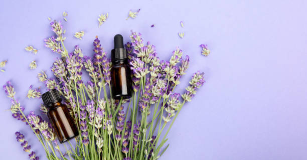 istock Bottle of essential oil 1329972874