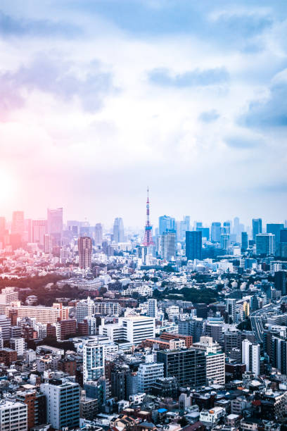 istock The Tokyo skyline sunset 1329973624