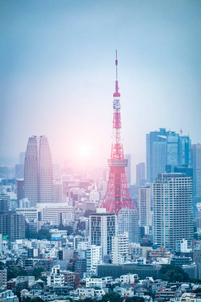 istock The Tokyo skyline sunset 1329973633
