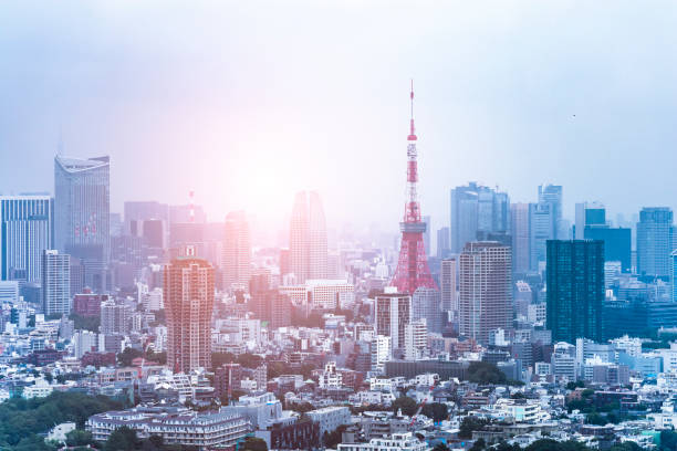 istock The Tokyo skyline sunset 1329973636