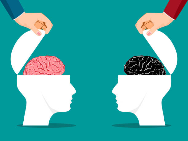 istock Both sides of the human head were opened with a brain. vector illustration 1329975944