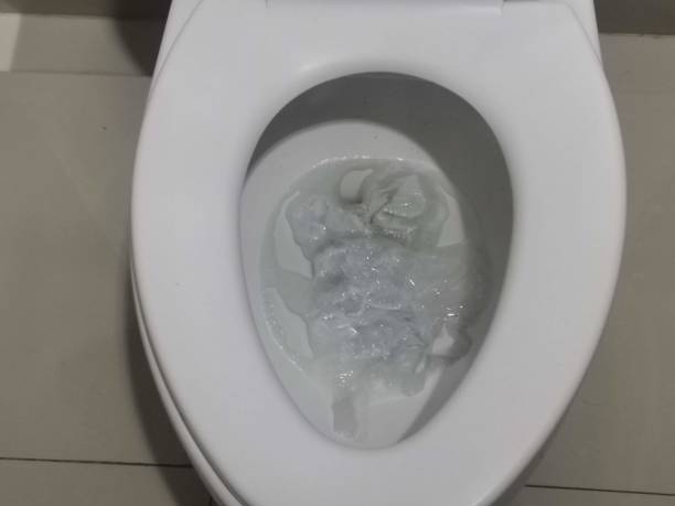 The tissues are in the toilet bowl