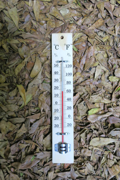 istock thermometer in the backyard, Asia, Bangkok, thailand 1329982575