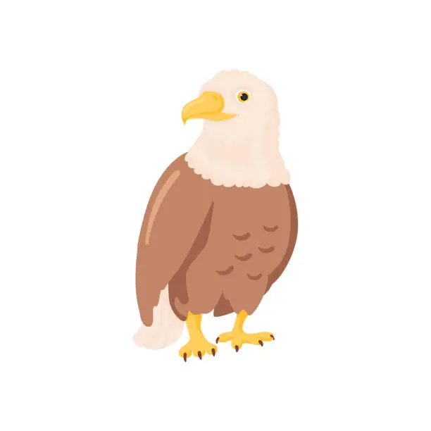 Vector illustration of Cartoon eagle isolated element.