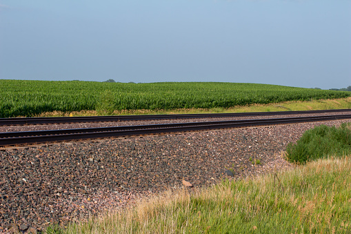 This image shows a close-up view of a double railroad track in a rural agricultural landscape on a sunny day, with fields in the background.