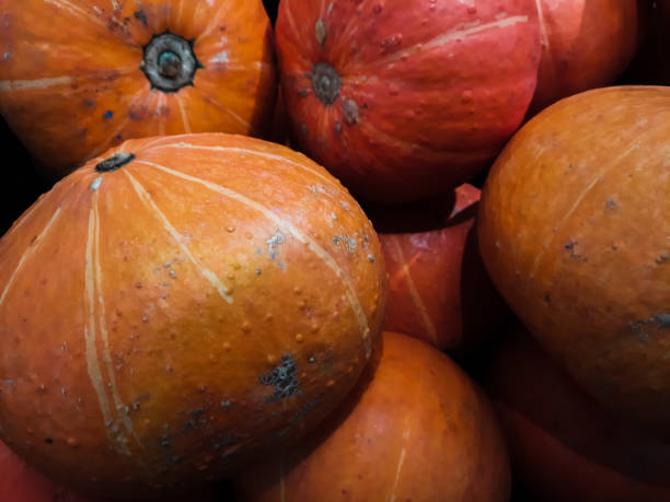 frutta di zucca per halloween - pumpkin small orange holiday foto e immagini stock