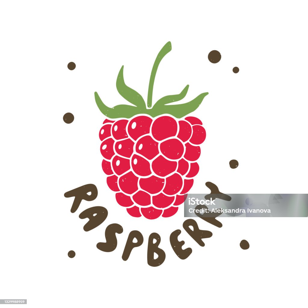 Illustrated Raspberry Raspberry Illustration Stock Illustration - Download Image Now ...