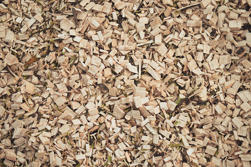 Abstract natural background of wood chips. Wood waste from the sawmill.