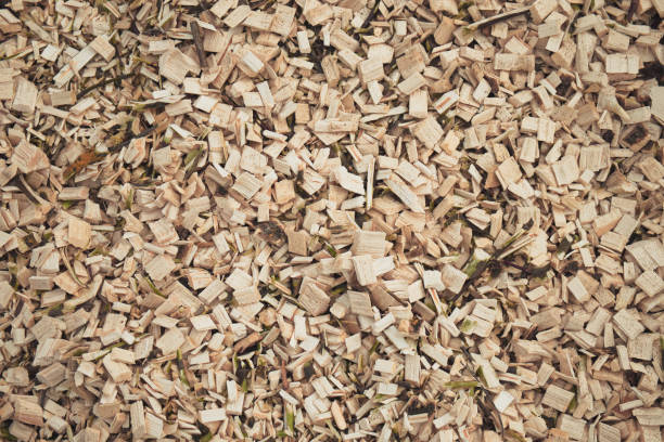 Abstract natural background of wood chips. Wood waste from sawmill. Abstract natural background of wood chips. Wood waste from the sawmill. sliver stock pictures, royalty-free photos & images