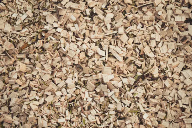 Photo of Abstract natural background of wood chips. Wood waste from sawmill.