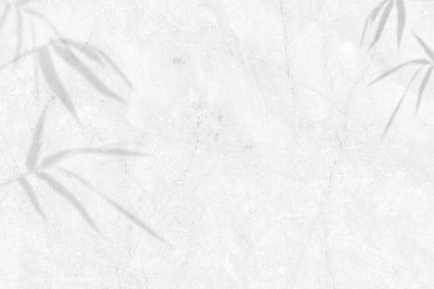 istock Shadow of leaves bamboo on white marble wall Background. copy space. 1329990154
