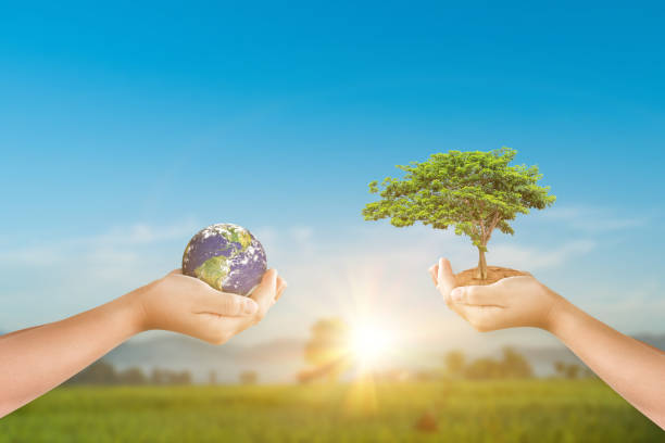 istock Hands holding earth globe and tree over sky nature background. 1329990317