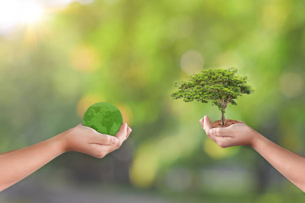 istock Hands holding grass globe and tree over green nature background. 1329990354