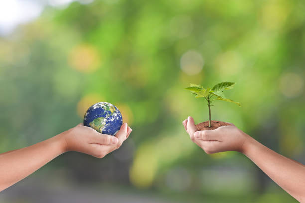 istock Hands holding earth globe and tree over green nature background 1329990897