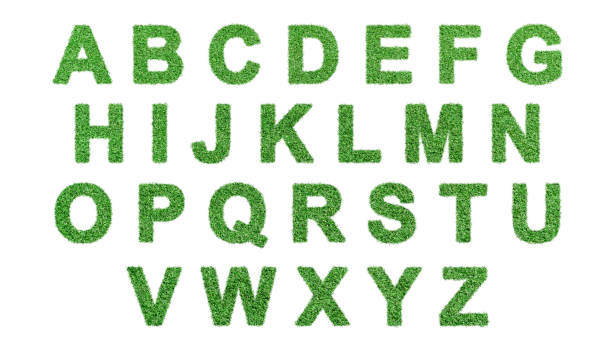 istock Grass letter A - Z Isolated on white background. 1329991077