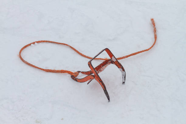 Anchor for fixing sledges with dog sleds in the snow.