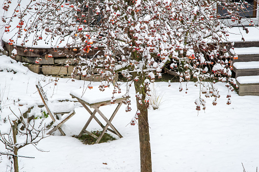 Snow-filled bird feeder in a park at night.