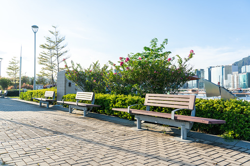 Empty footpath in Kai Tak Cruise Terminal park