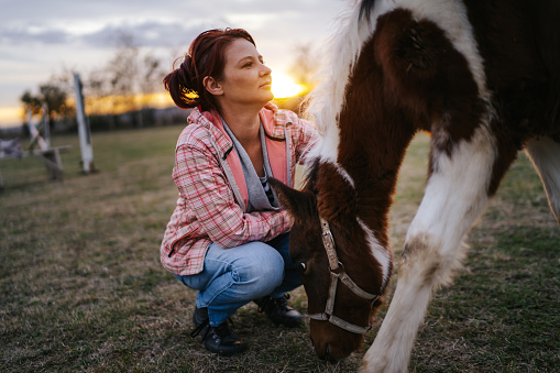 Woman stroking her brown foal on pasture