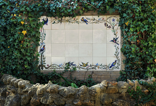 Blank white tiles surface in a wall of a park surrounded by creeper leaves and rocks - Ornamental frame with empty background to write a massage