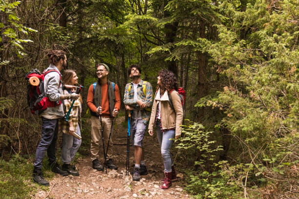 istock Young happy hikers talking on a break in forest. 1330005796