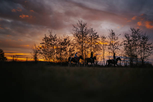 istock Horseback riding at sunset 1330005873