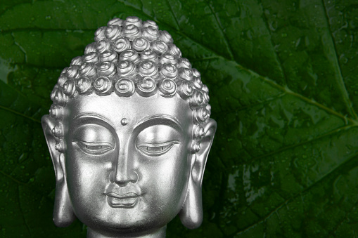 image of buddha head green leaf