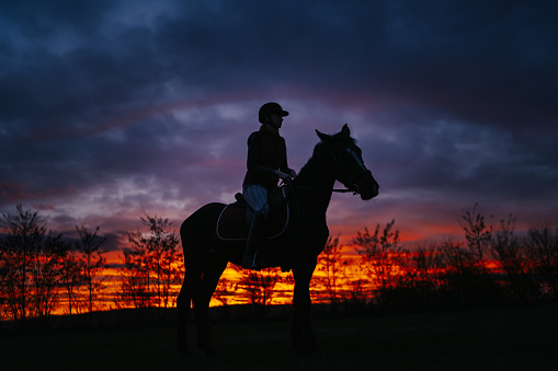 Young female jockey riding horse at wonderful sunset