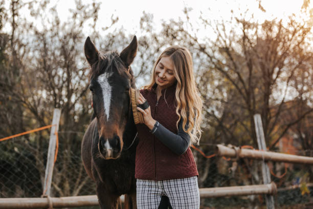 Beautiful young woman with long hair grooming her horse on the farm Beautiful young woman with long hair grooming her horse on the farm animal brush stock pictures, royalty-free photos & images