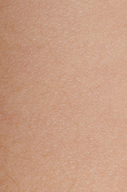 istock Brown skin texture with tiny hair 1330014973