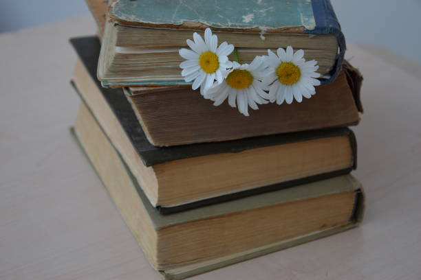 istock A small stack of old books in a battered condition and daisies between the pages 1330016025