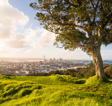 View of Auckland Skyline from Mount Eden on a nice sunny day.