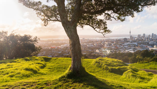 Panoramic view of Auckland City. stock photo