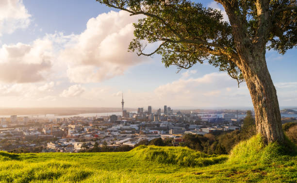 Auckland City Skyline. View of Auckland Skyline from Mount Eden on a nice sunny day. auckland stock pictures, royalty-free photos & images
