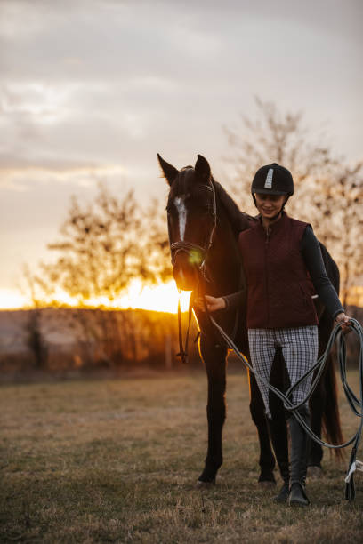 istock Enjoying moments of tranquility together 1330016488