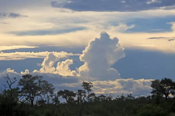 Photo of Storm brewing