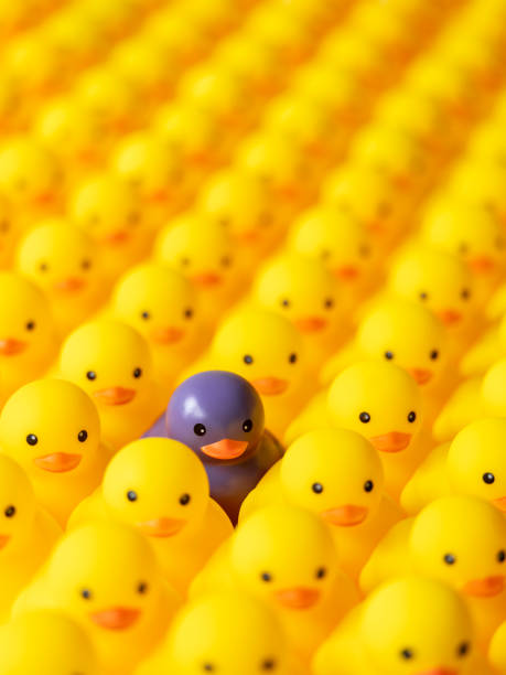 istock Large group of yellow rubber ducks in formal rows with one different individual duck which is standing out from the crowd being purple in color. 1330022786