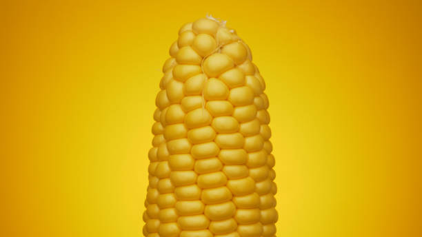 istock Fresh Vegan Food Background 1330024640