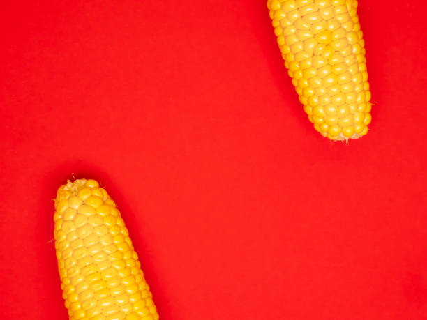 Vegan Healthy Vegetables Food Background - Red