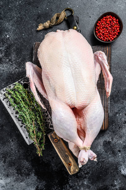 istock Raw whole duck, poultry meat. Black background. Top view 1330024800