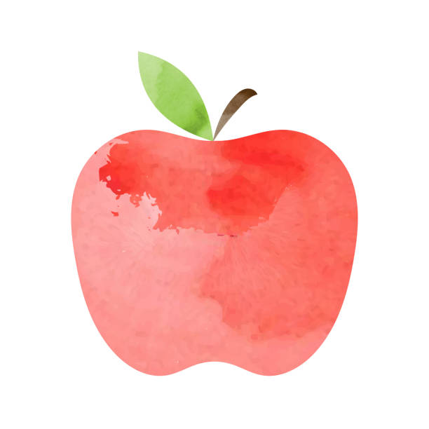 акварельное яблоко на белом фоне. вектор - apple cartoon illustration and painting cute stock illustrations