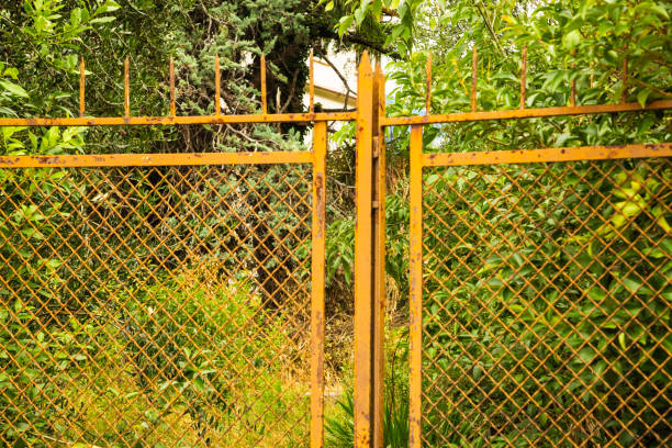 istock old iron gate in front of neglected garden 1330030460